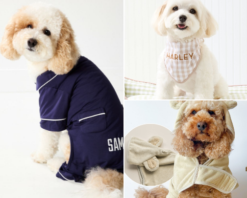 A Little Extra Fluff: non-essential accessories for your dog cover photo collage