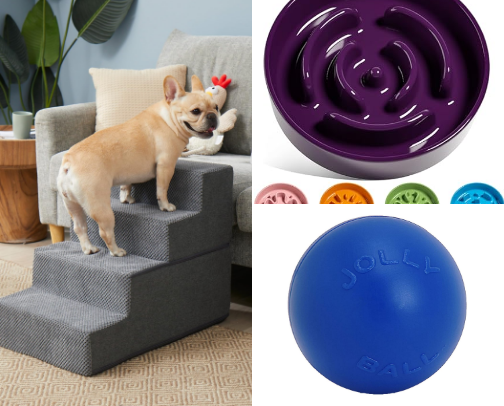 ✨Corgi Mom Essentials!✨ cover photo collage