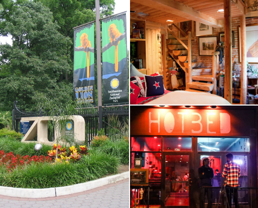 I'd love input on my Washington DC trip! cover photo collage