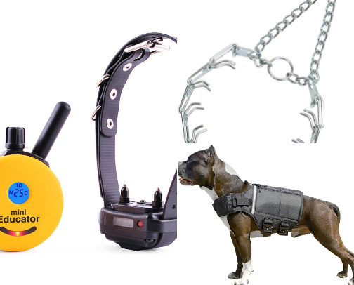 Training tricks and maintenance for your large breed, high energy dog! cover photo collage