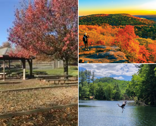 Places to visit 🫶 cover photo collage