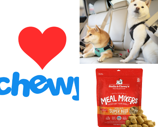 Road Trippin Dog cover photo collage