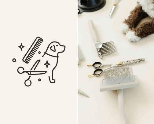 Goldendoodle Must Haves! 🐾 cover photo collage