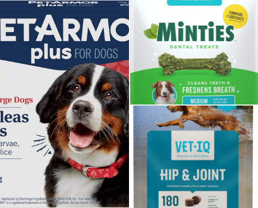 All about your animal and their health cover photo collage