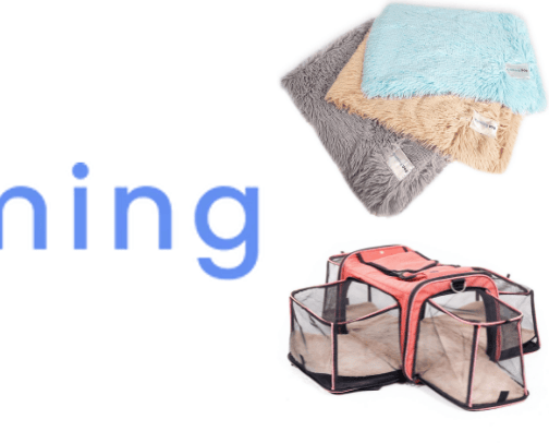 Dog essentials cover photo collage