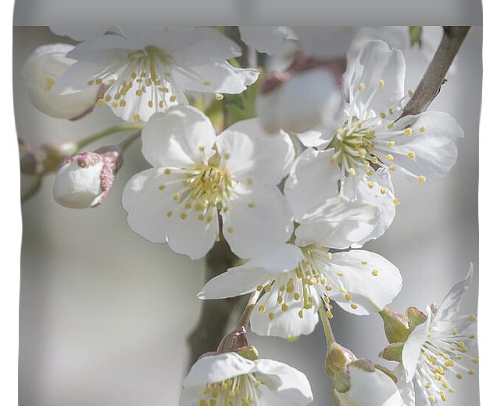 Floral images for bedroom and bathroom cover photo collage