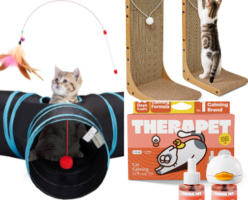 New Kitten "Welcome" Basket cover photo collage