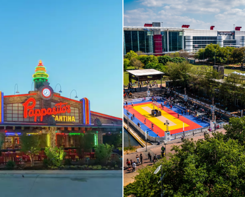 My top local recs cover photo collage