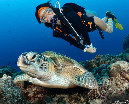 Iconic Diving Spots in Indonesia cover photo collage
