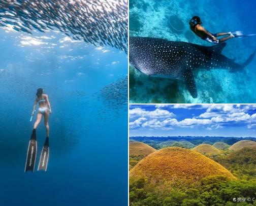Cebu Adventures 🌆 cover photo collage