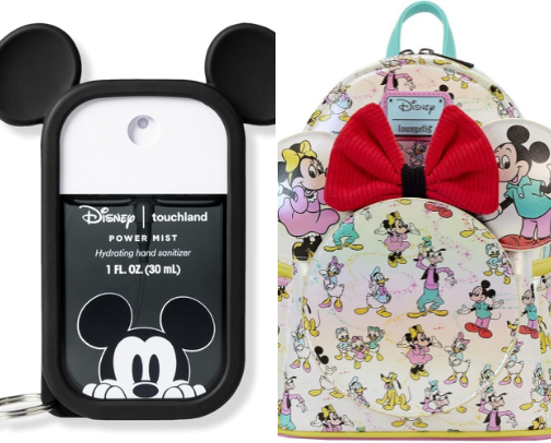 Disney Theme Park Obsessed cover photo collage