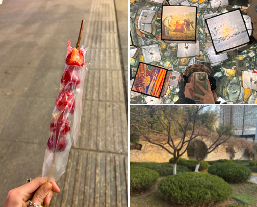 Stuff i’ve tried cover photo collage