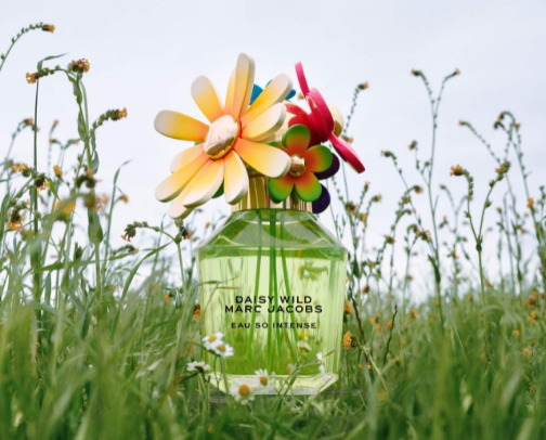 Banana Fragrance Favorites cover photo collage