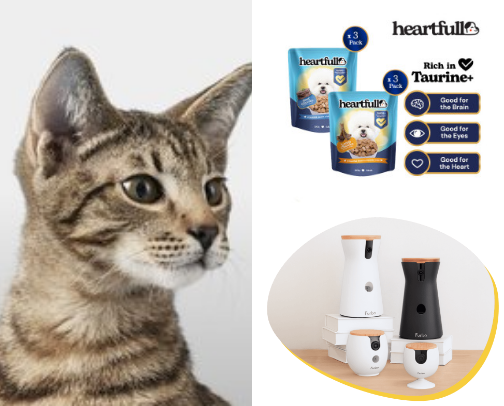 Pet Supplies🐶🐱🐰🐹 cover photo collage