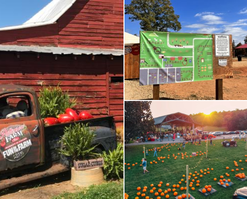 Fall Fun for Toddlers cover photo collage