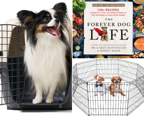 Pepper's Puppy Kit 🐾 cover photo collage