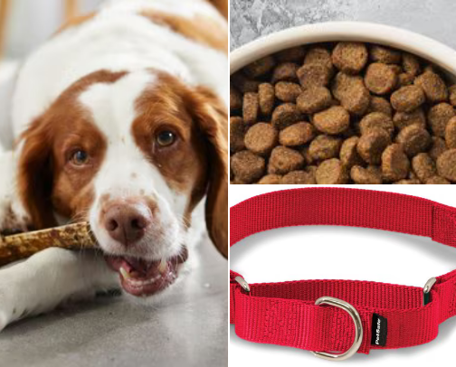 All About Dogs cover photo collage