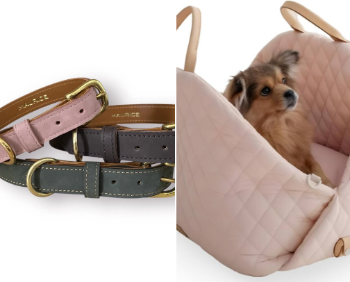 Pets 🐾 cover photo collage