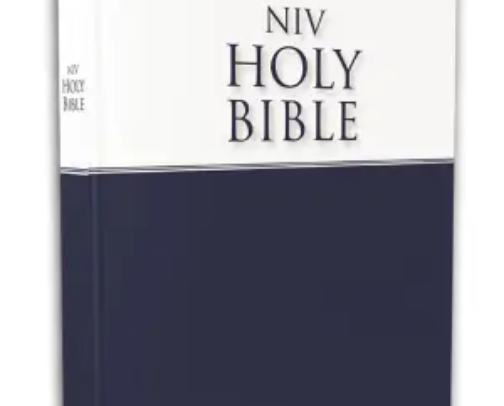 My favorite book! cover photo collage