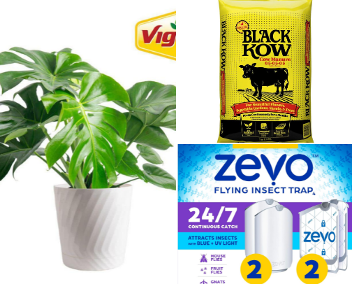 Stem + Leafed cover photo collage