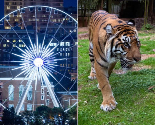 Adventure in ATL, Ga. cover photo collage