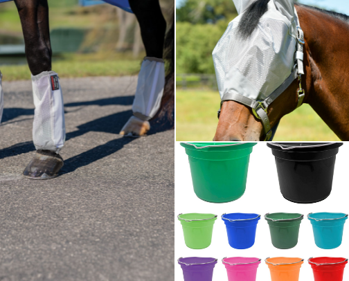 Equestrian Needs!! cover photo collage