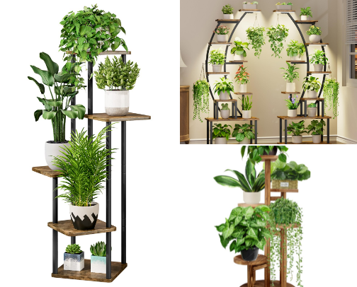 Indoor Plants cover photo collage