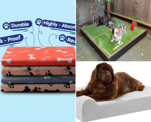 Old Dogs, Good Stuff: My Senior & Hospice Picks. cover photo collage