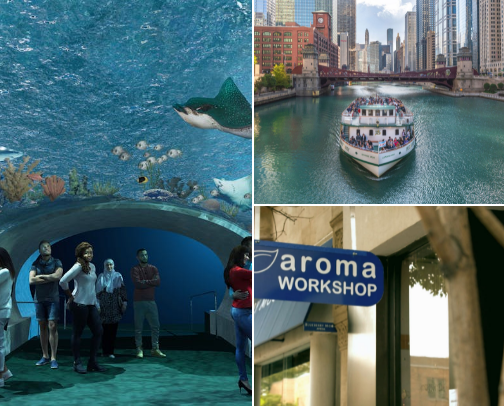 Things to do in Chicago✨ cover photo collage