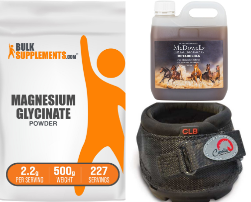EMS & Laminitis Support  for Equines cover photo collage