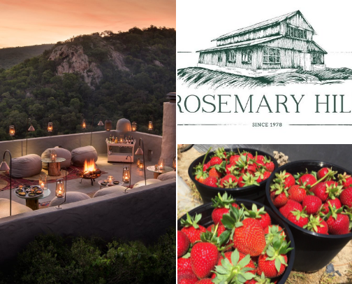 South African Spring Finest - do, stay, eat and pack cover photo collage