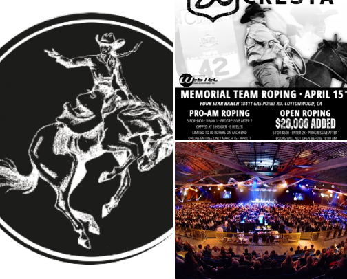 My Favorite Western Events in the US cover photo collage