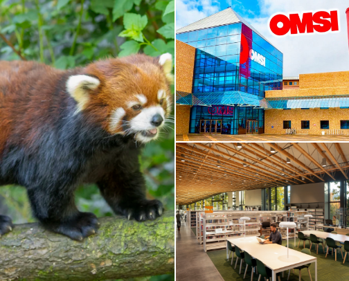 Toddler Friendly - Portland Oregon cover photo collage