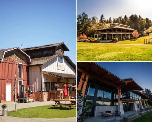 Sip Your Way Through Paradise: The Top Wineries to Discover on Vancouver Island, BC! cover photo collage