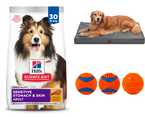 Dogs, Cats, Chickens Oh My! cover photo collage