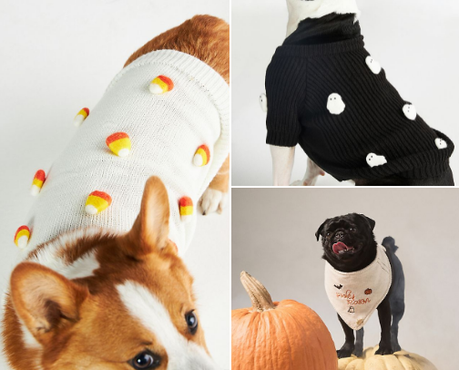Dog Mom + Pup | Sweater Weather is Better Together cover photo collage
