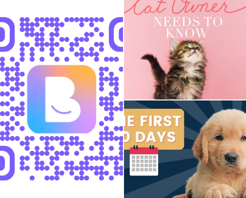 Digital Business Card cover photo collage