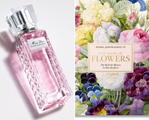 January Favorites cover photo collage