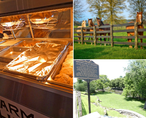 Kentucky: Bourbon, Horses, History, and Culture cover photo collage