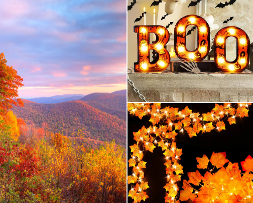 All Things Fall cover photo collage