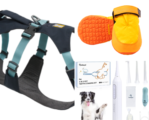 Dog products we love! cover photo collage