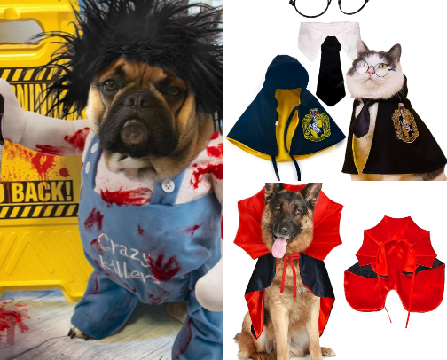Dog and Cat halloween costume cover photo collage