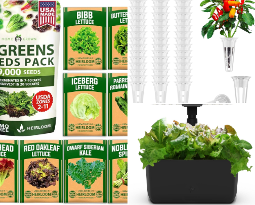 My $150 DIY Hydroponics Starter Kit cover photo collage