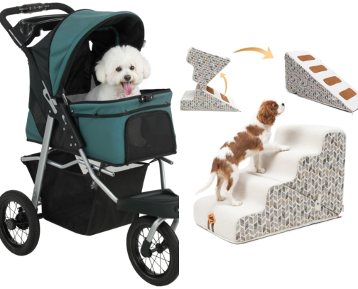 Senior Dog Mobility cover photo collage