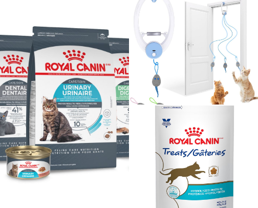 Cat recommendations cover photo collage