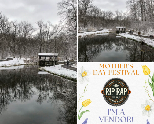 Things to See and Places to eat cover photo collage