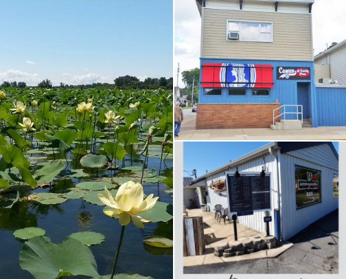 Northern Ohio Lake Erie things to do! cover photo collage