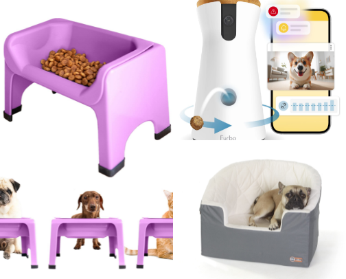 Frenchie Favorites cover photo collage