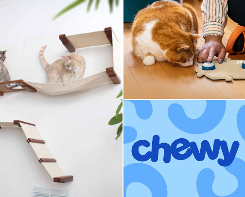 Calling all Cat Mamas cover photo collage