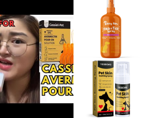 Dog Care Products cover photo collage